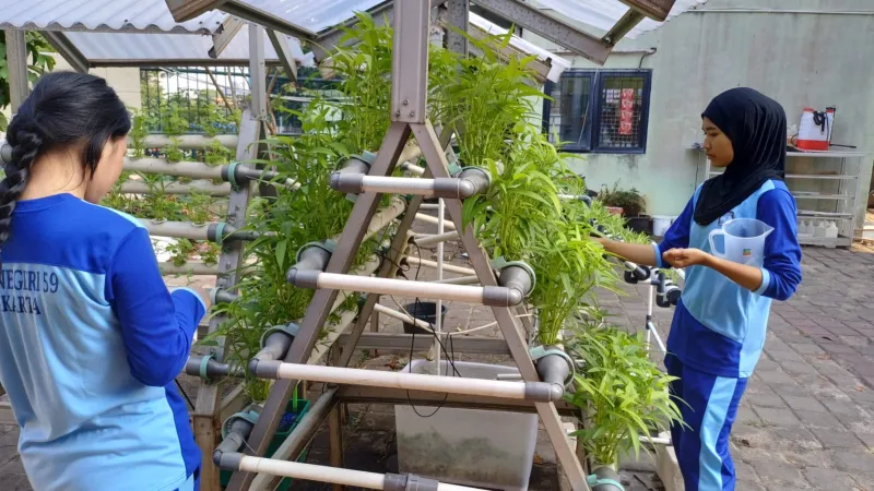 Lahan Urban Farming SMKN 59 Jakarta - Gambar 223
