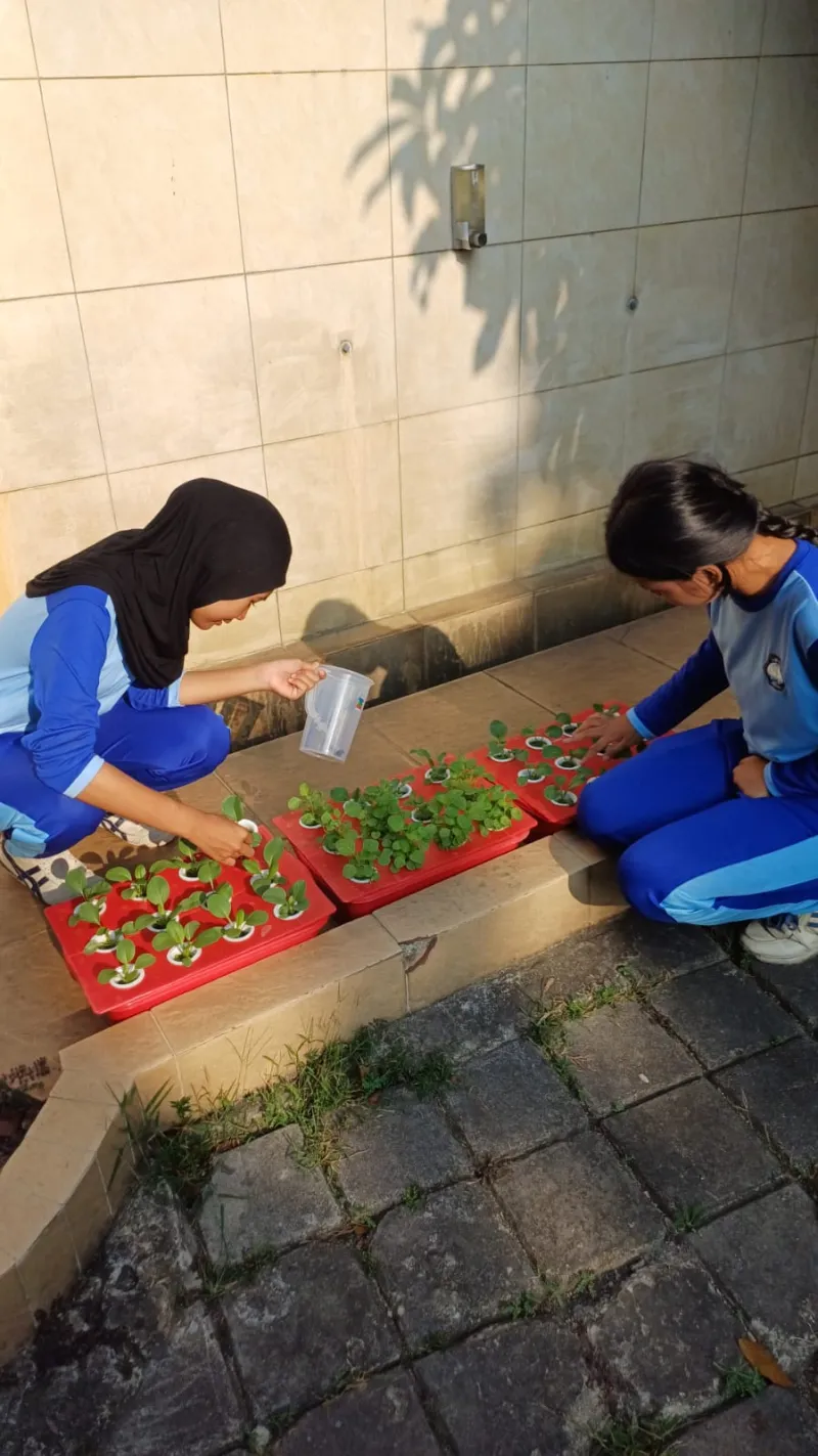 Lahan Urban Farming SMKN 59 Jakarta - Gambar 224