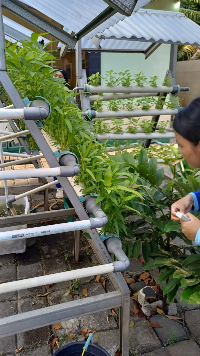 Lahan Urban Farming SMKN 59 Jakarta - Gambar 222