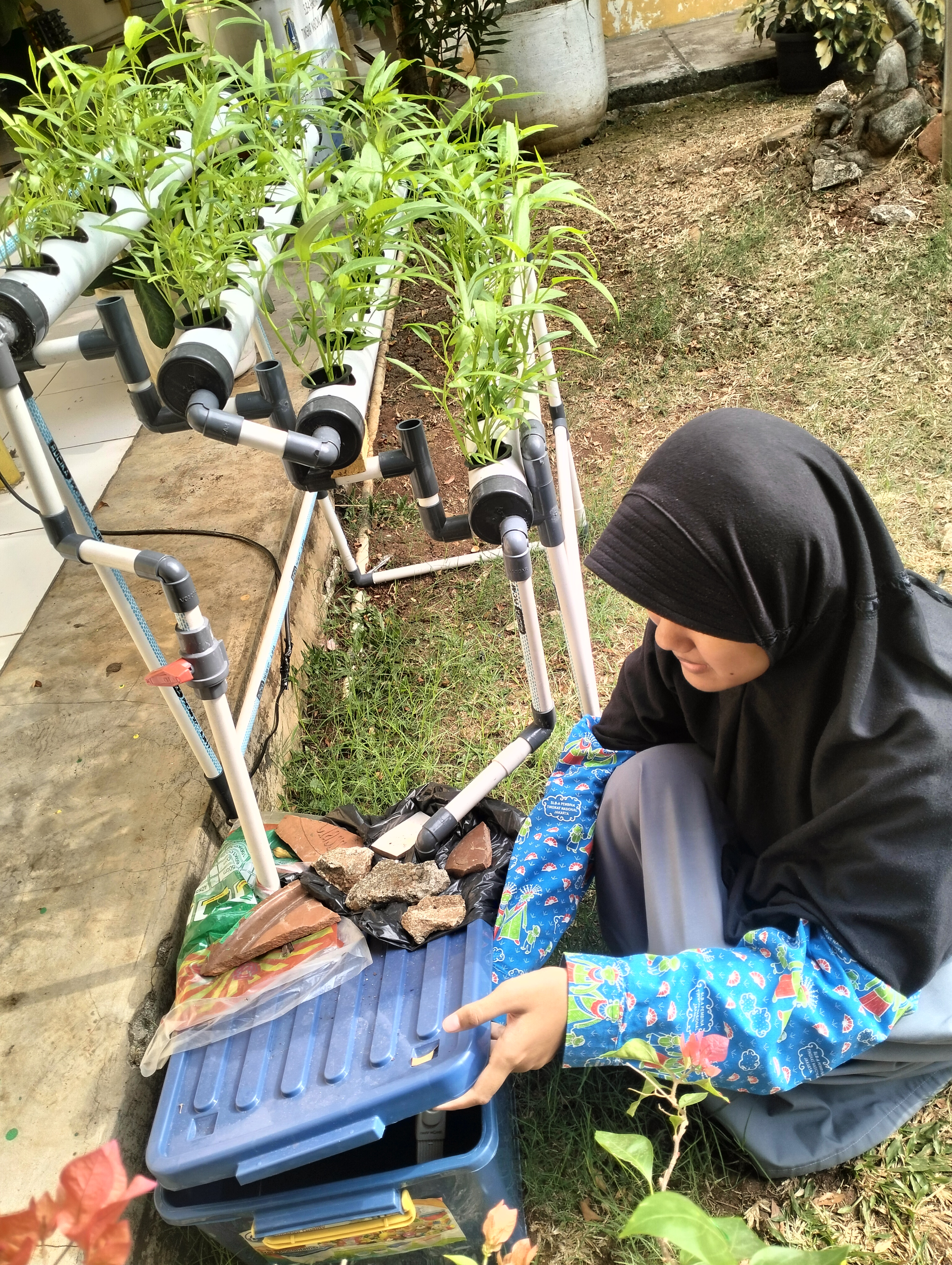 Lahan Urban Farming SLB A Pembina Tingkat Nasional - Gambar 118