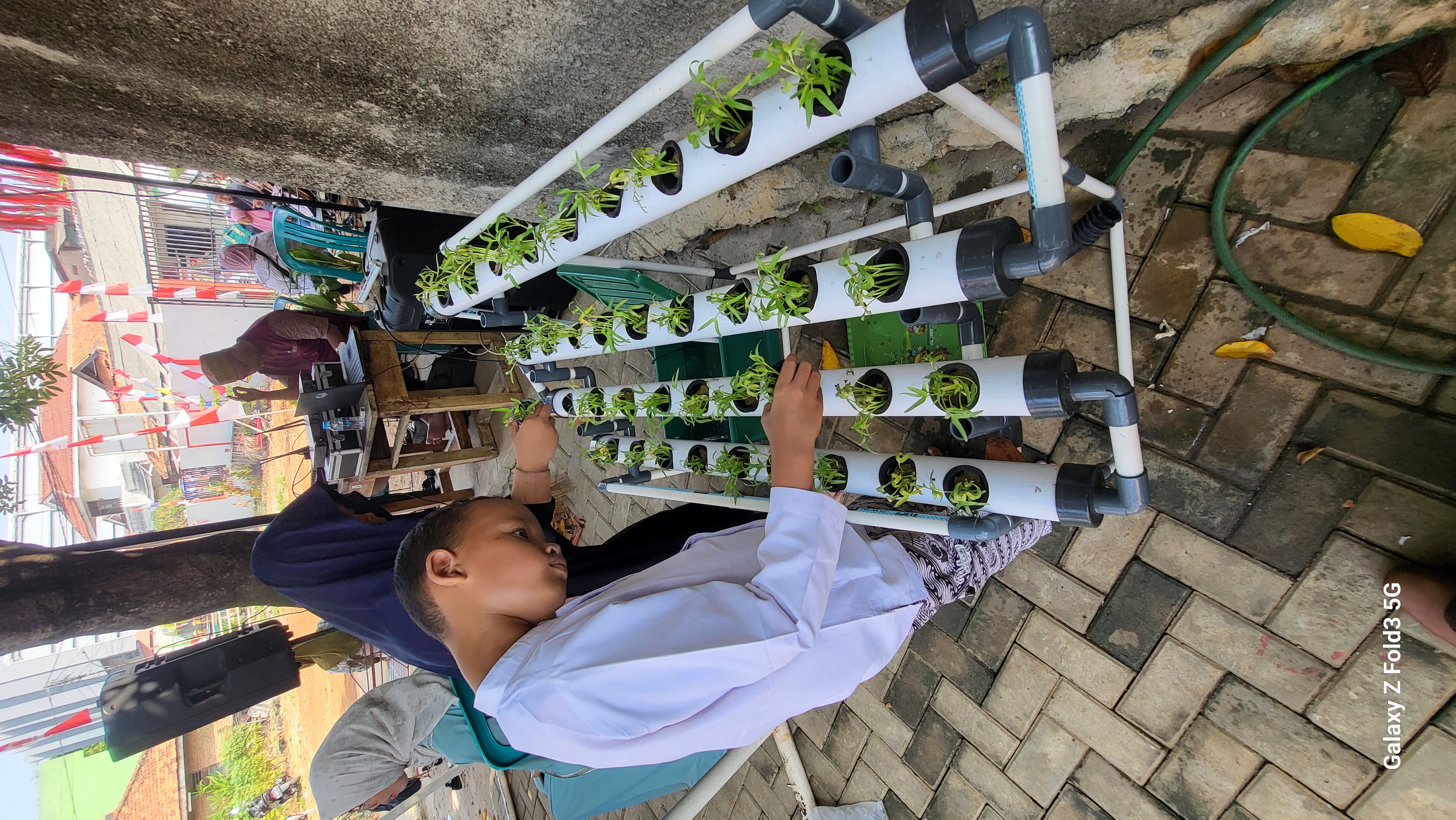 Lahan Urban Farming SDN Bintaro 09 - Gambar 167