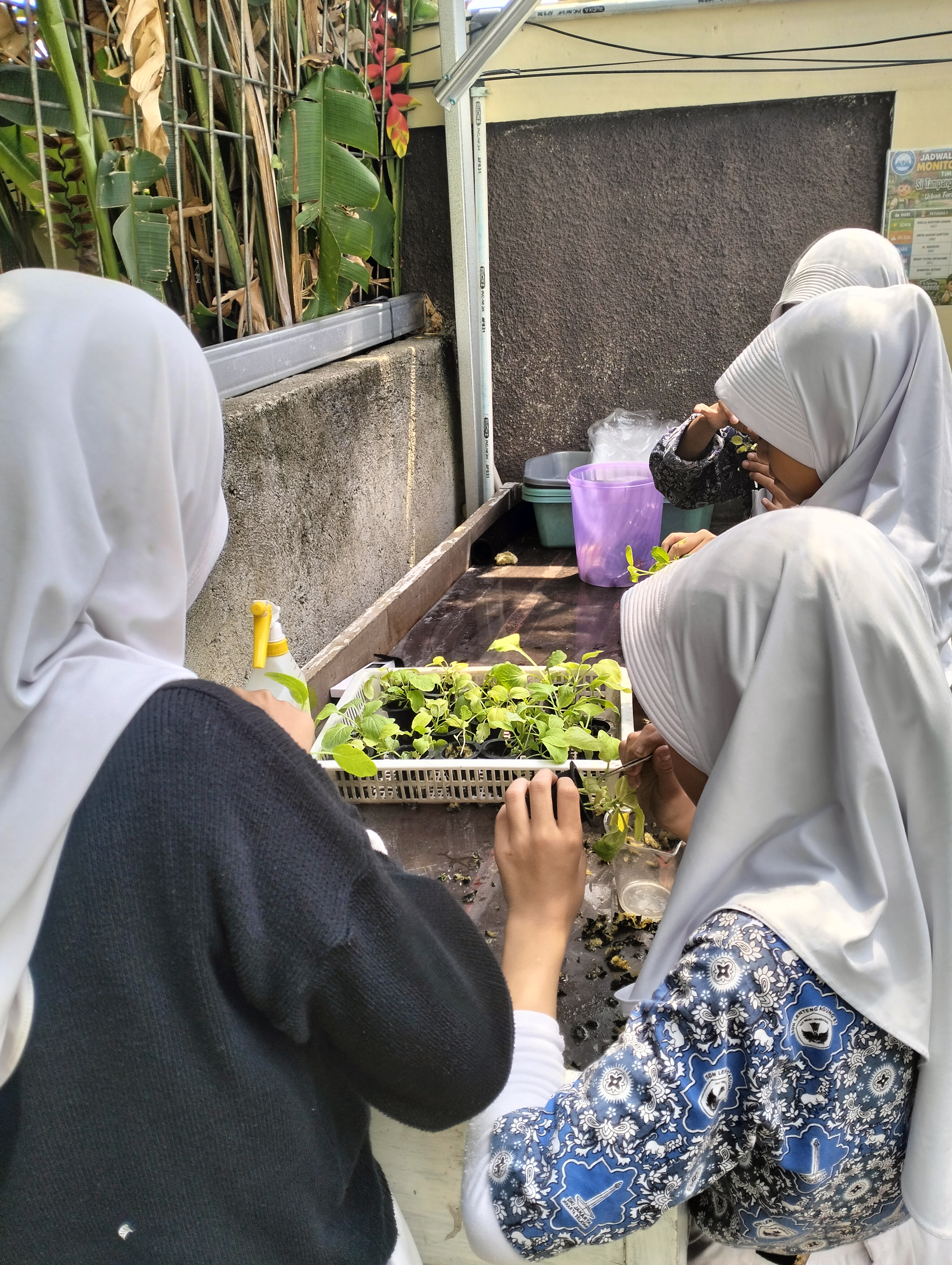 Lahan Urban Farming SDN Lenteng Agung 07 Jakarta - Gambar 101
