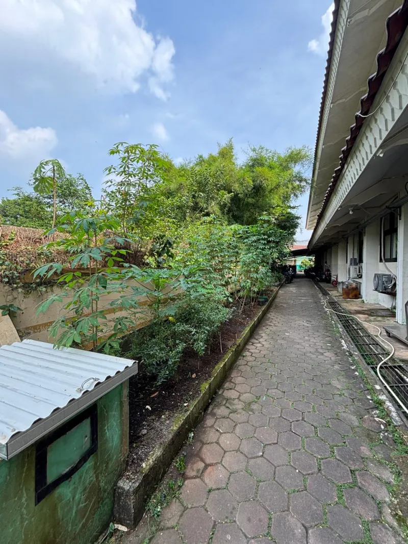 Lahan Urban Farming SMKN 62 Jakarta - Gambar 76