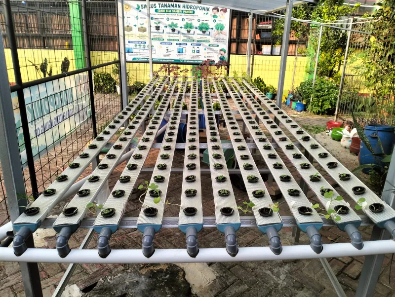 Lahan Urban Farming SDN Lenteng Agung 07 Jakarta - Gambar 129