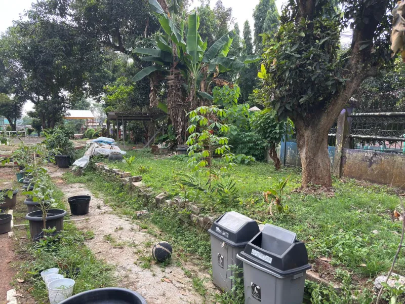 Lahan Urban Farming SMAN 109 Jakarta - Gambar 306