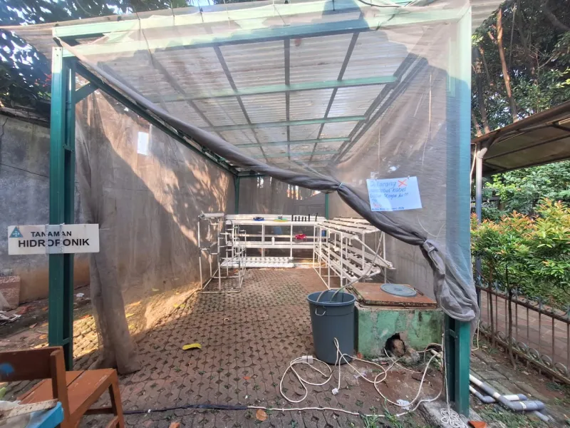 Lahan Urban Farming SMAN 34 Jakarta - Gambar 109