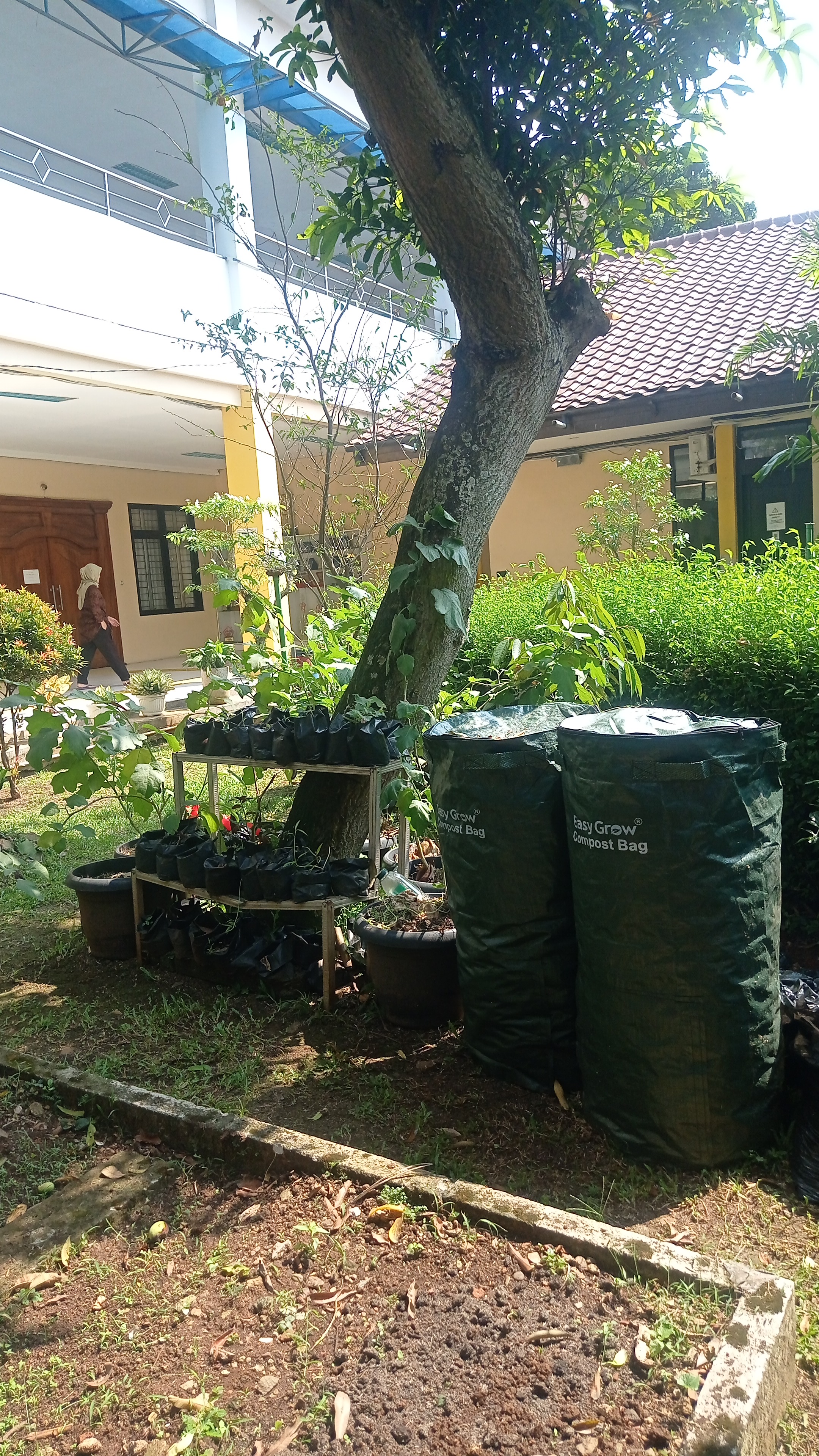Lahan Urban Farming SLB A Pembina Tingkat Nasional - Gambar 154