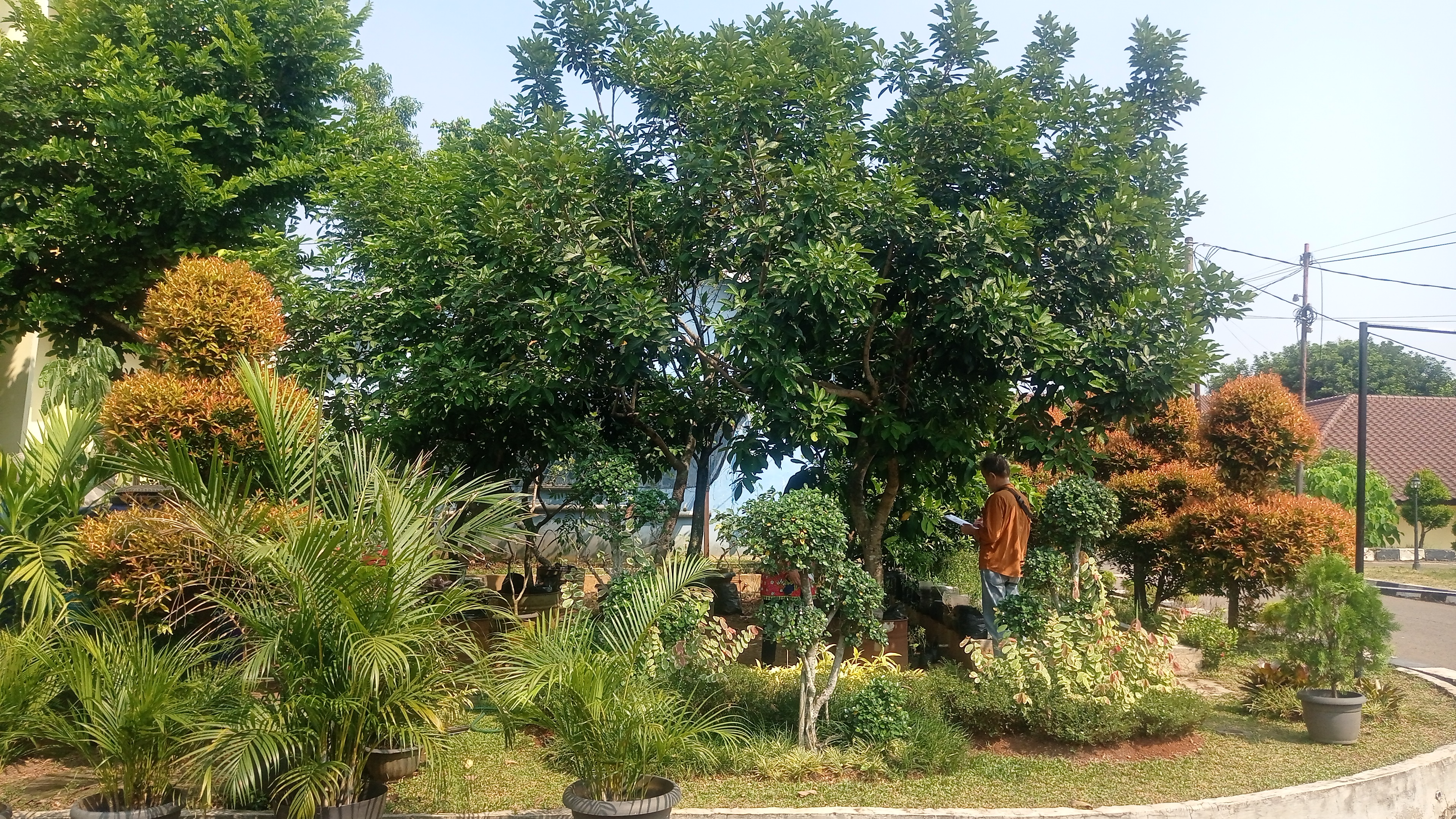 Lahan Urban Farming SLBN 01 Lebak Bulus - Gambar 94