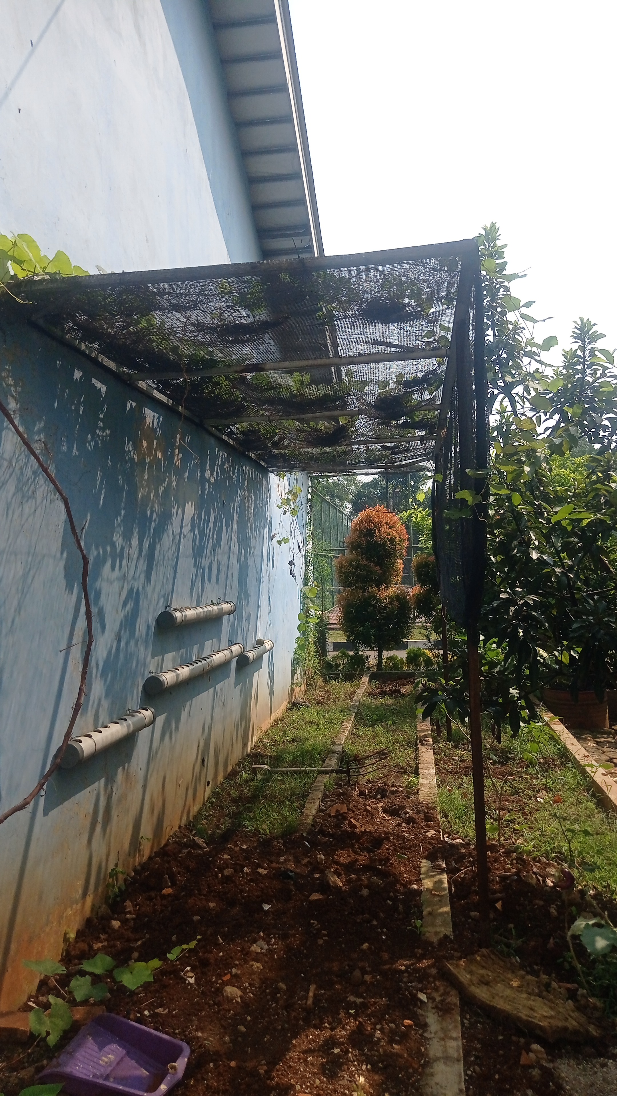 Lahan Urban Farming SLBN 01 Lebak Bulus - Gambar 96
