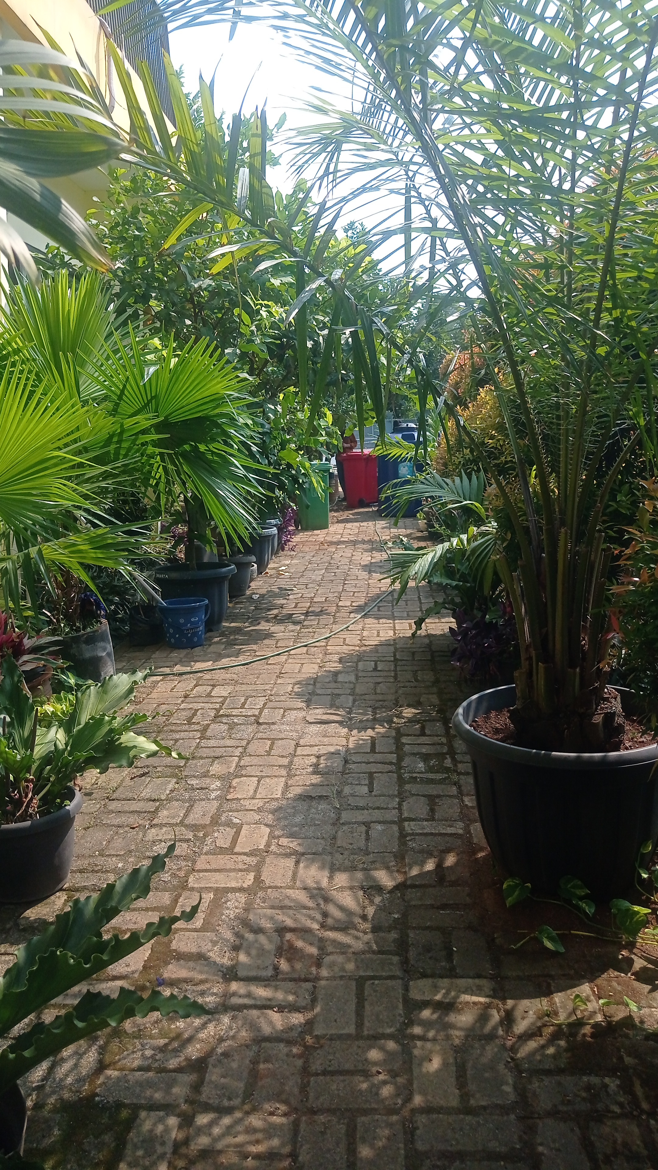 Lahan Urban Farming SLBN 01 Lebak Bulus - Gambar 97