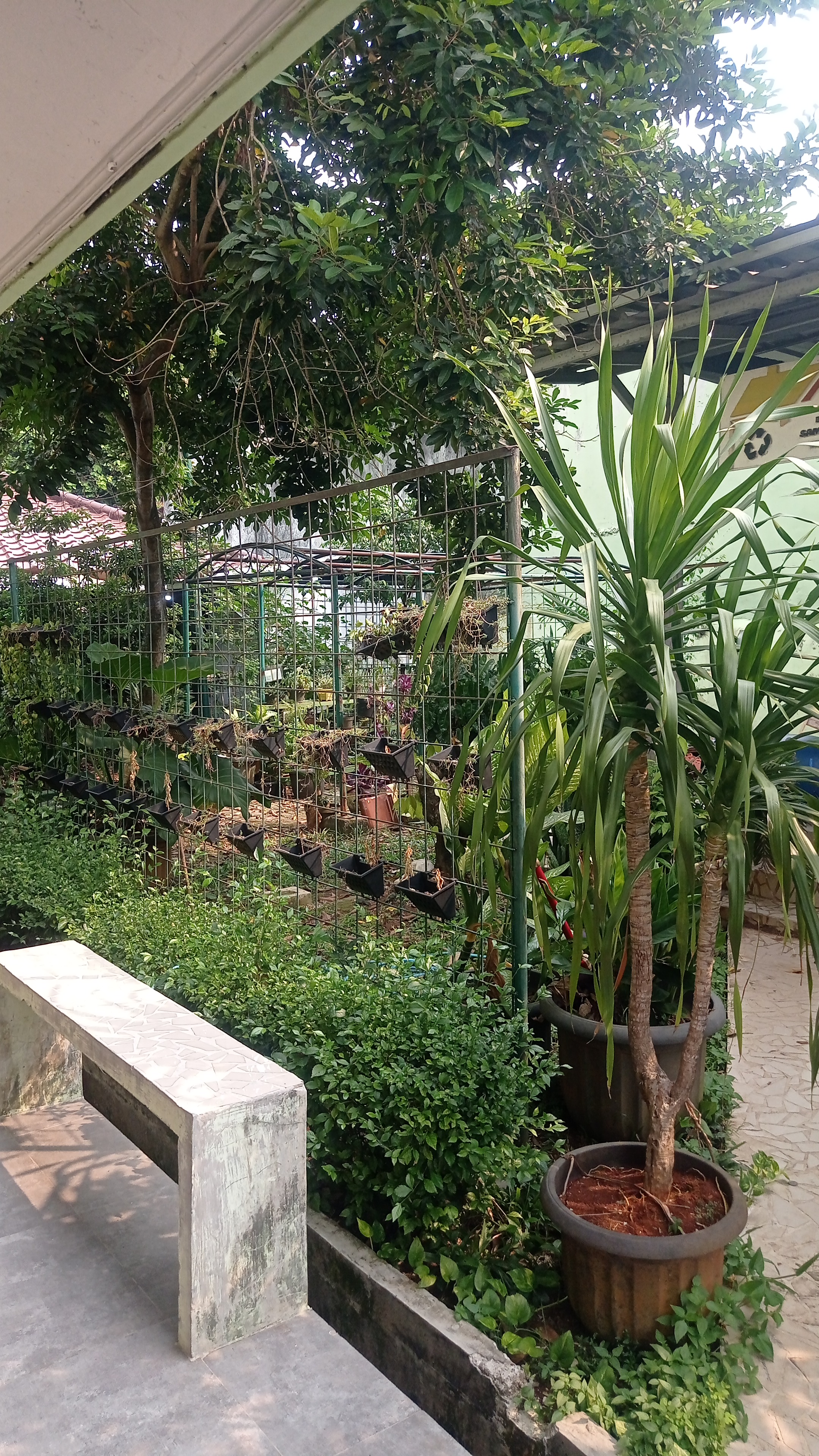Lahan Urban Farming SMKN 20 Jakarta - Gambar 149