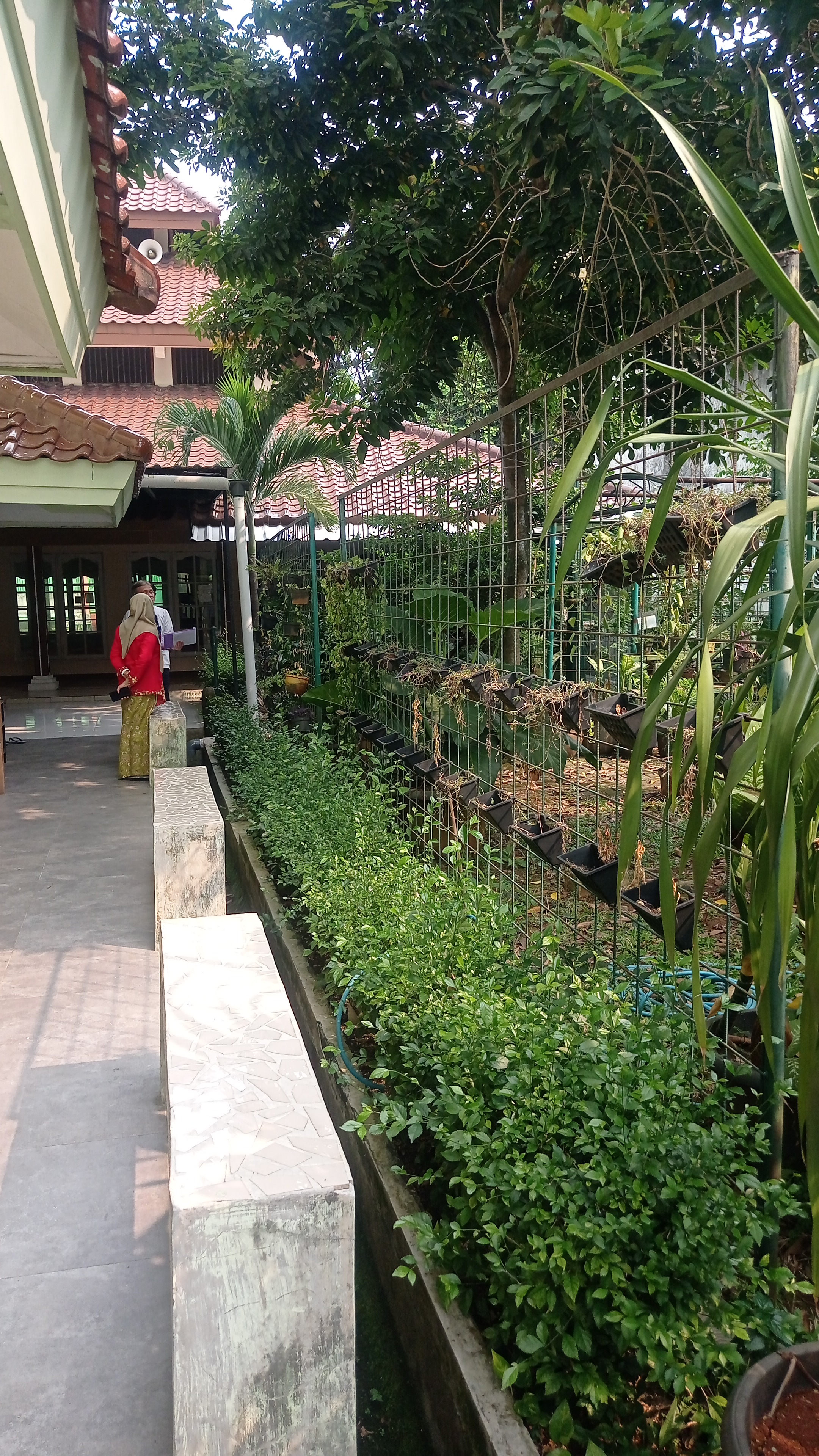 Lahan Urban Farming SMKN 20 Jakarta - Gambar 148