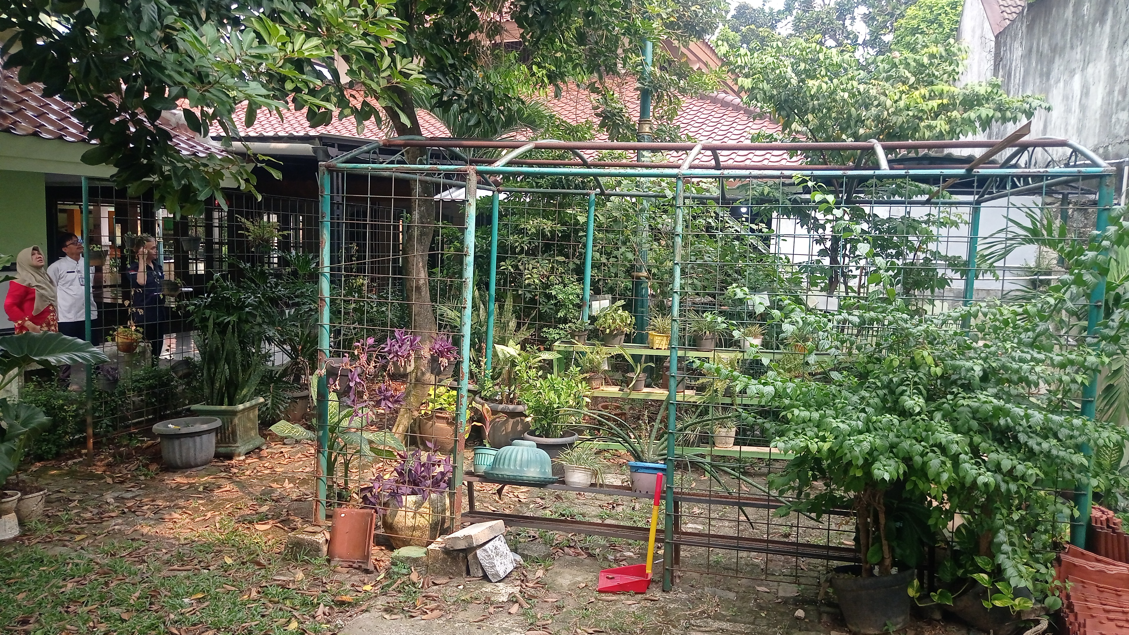 Lahan Urban Farming SMKN 20 Jakarta - Gambar 147
