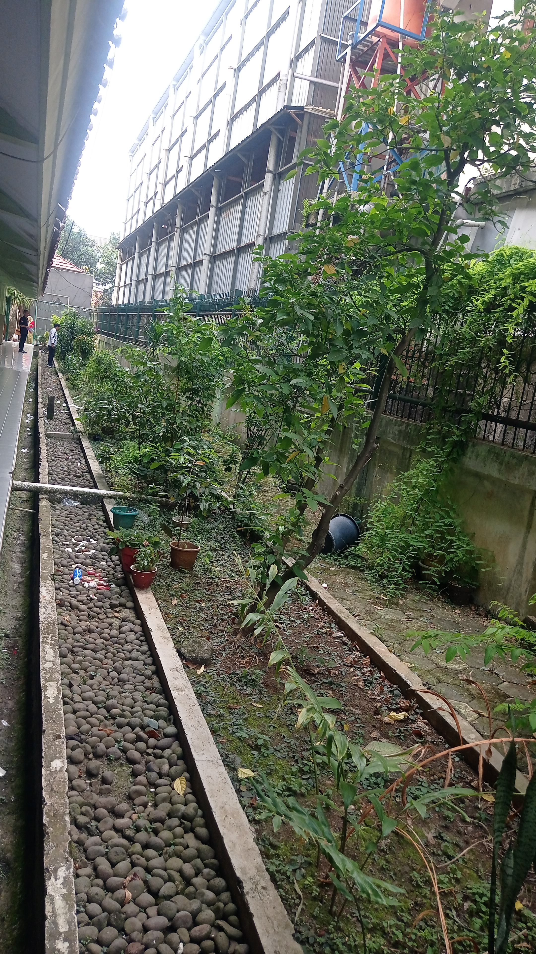 Lahan Urban Farming SMKN 20 Jakarta - Gambar 146