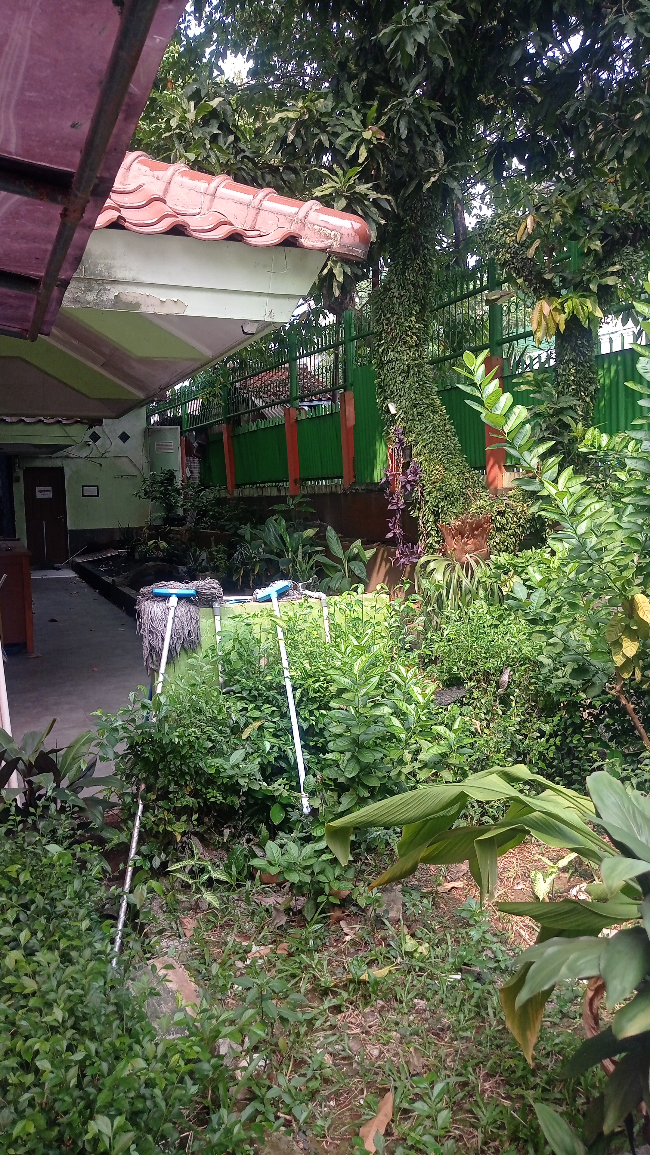 Lahan Urban Farming SMKN 20 Jakarta - Gambar 150