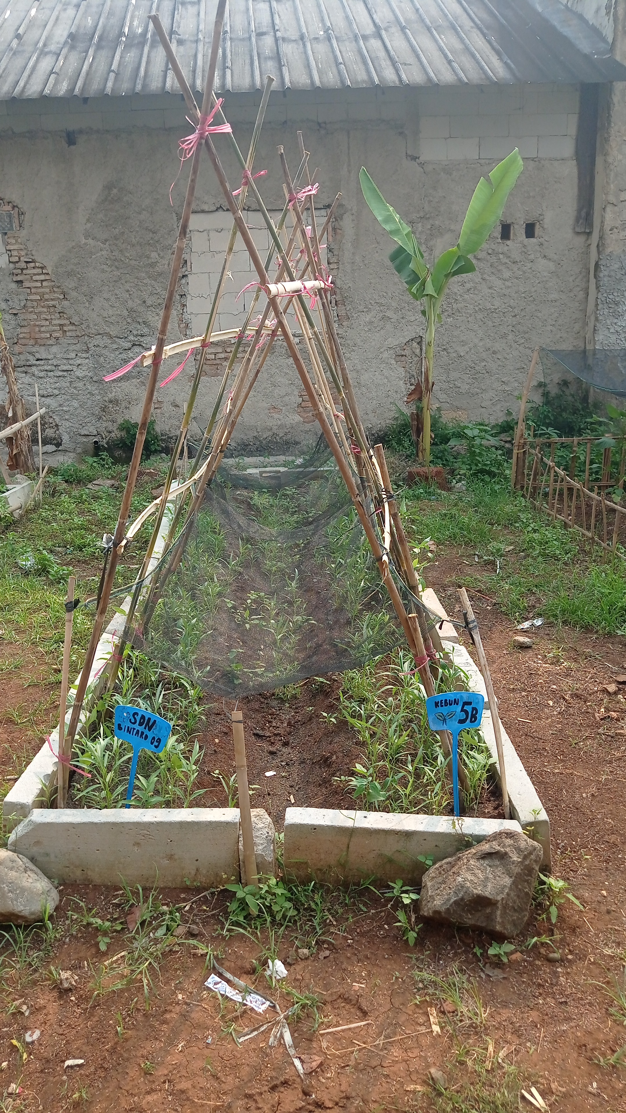 Lahan Urban Farming SDN Bintaro 09 - Gambar 208