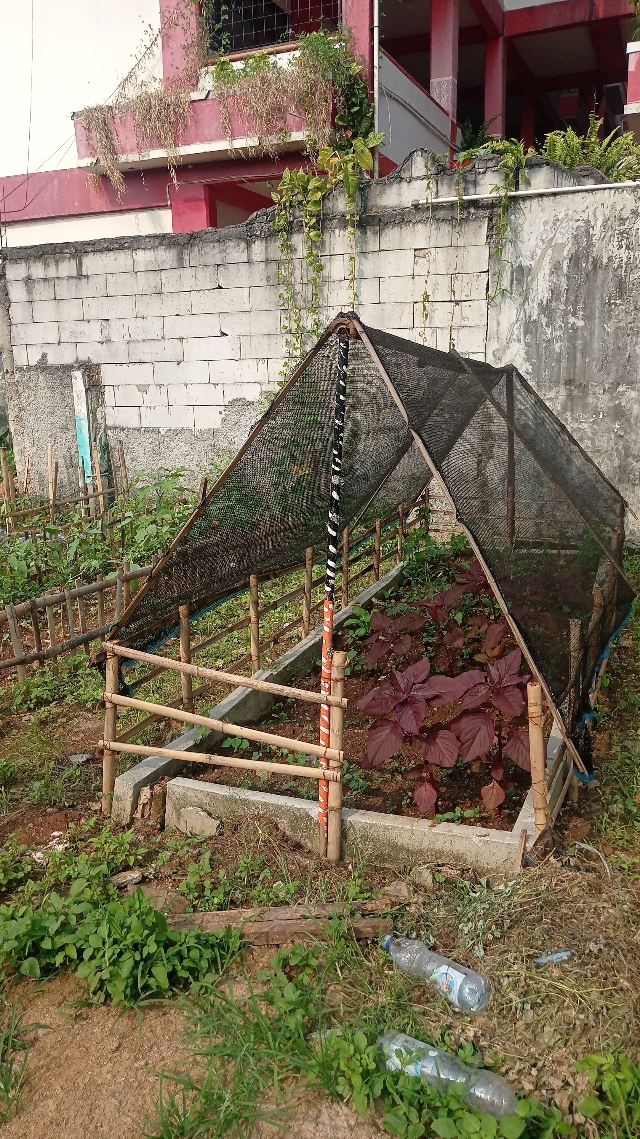 Lahan Urban Farming SDN Bintaro 09 - Gambar 209