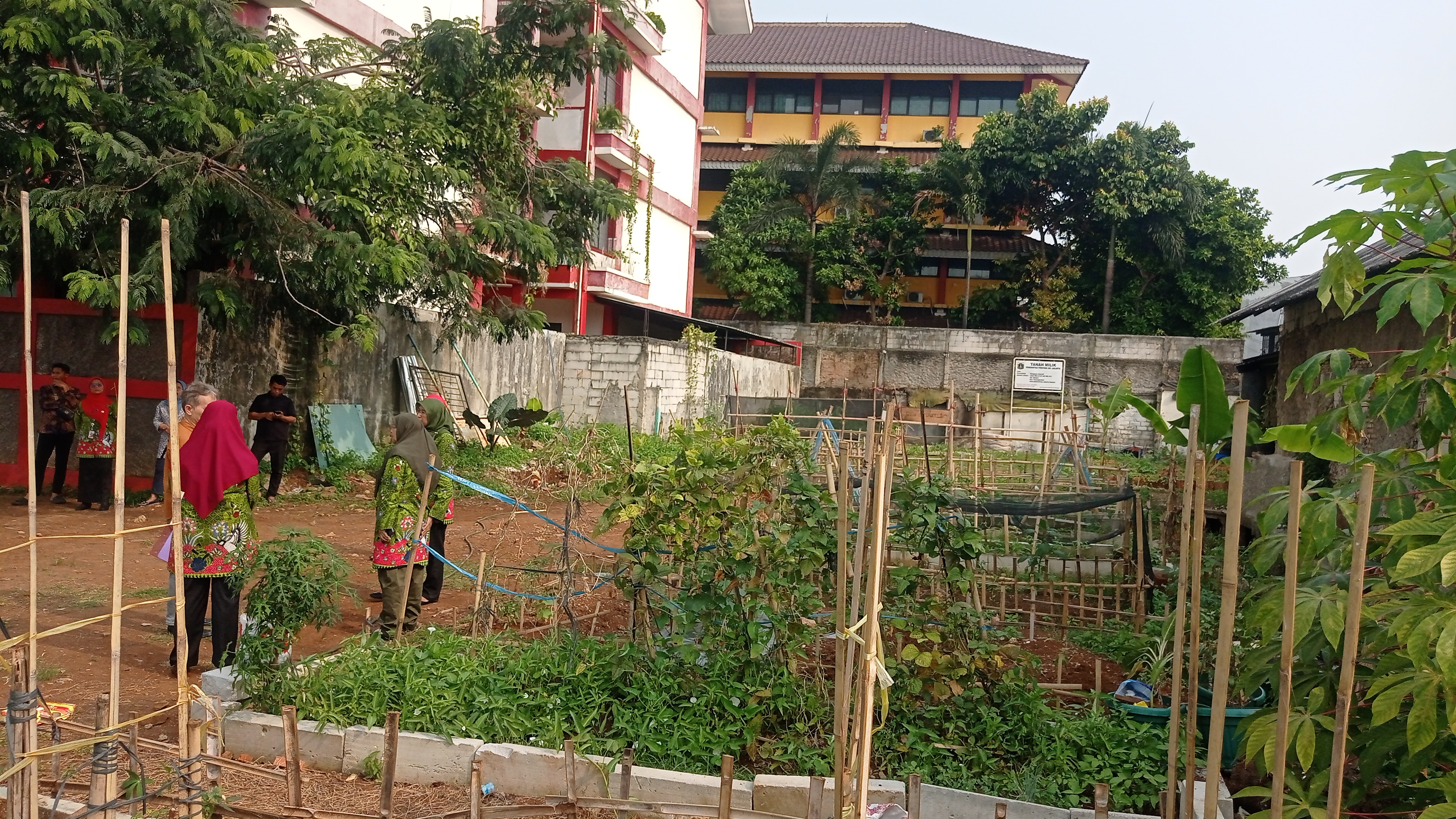 Lahan Urban Farming SDN Bintaro 09 - Gambar 207