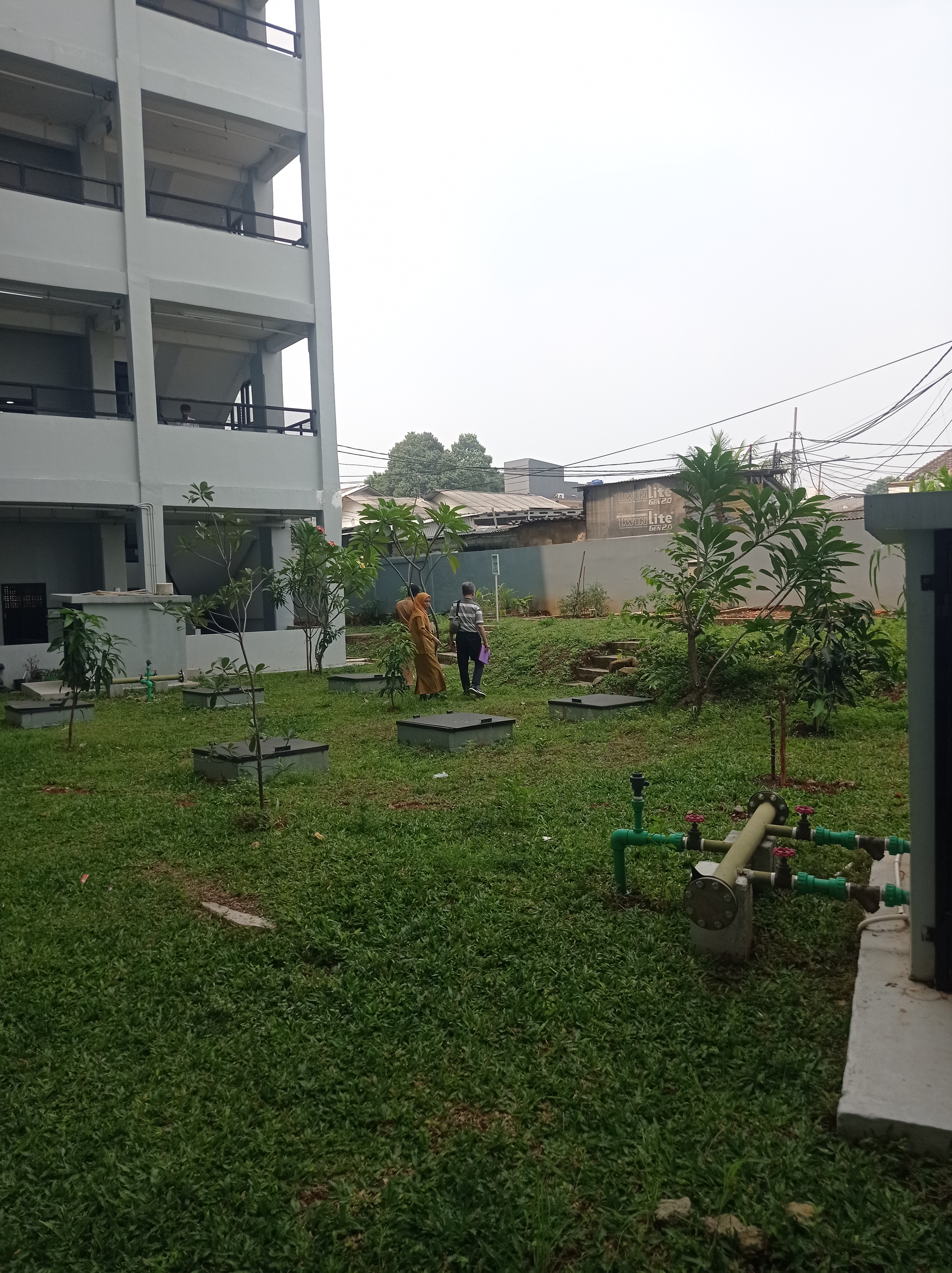 Lahan Urban Farming SMAN 116 Jakarta - Gambar 152