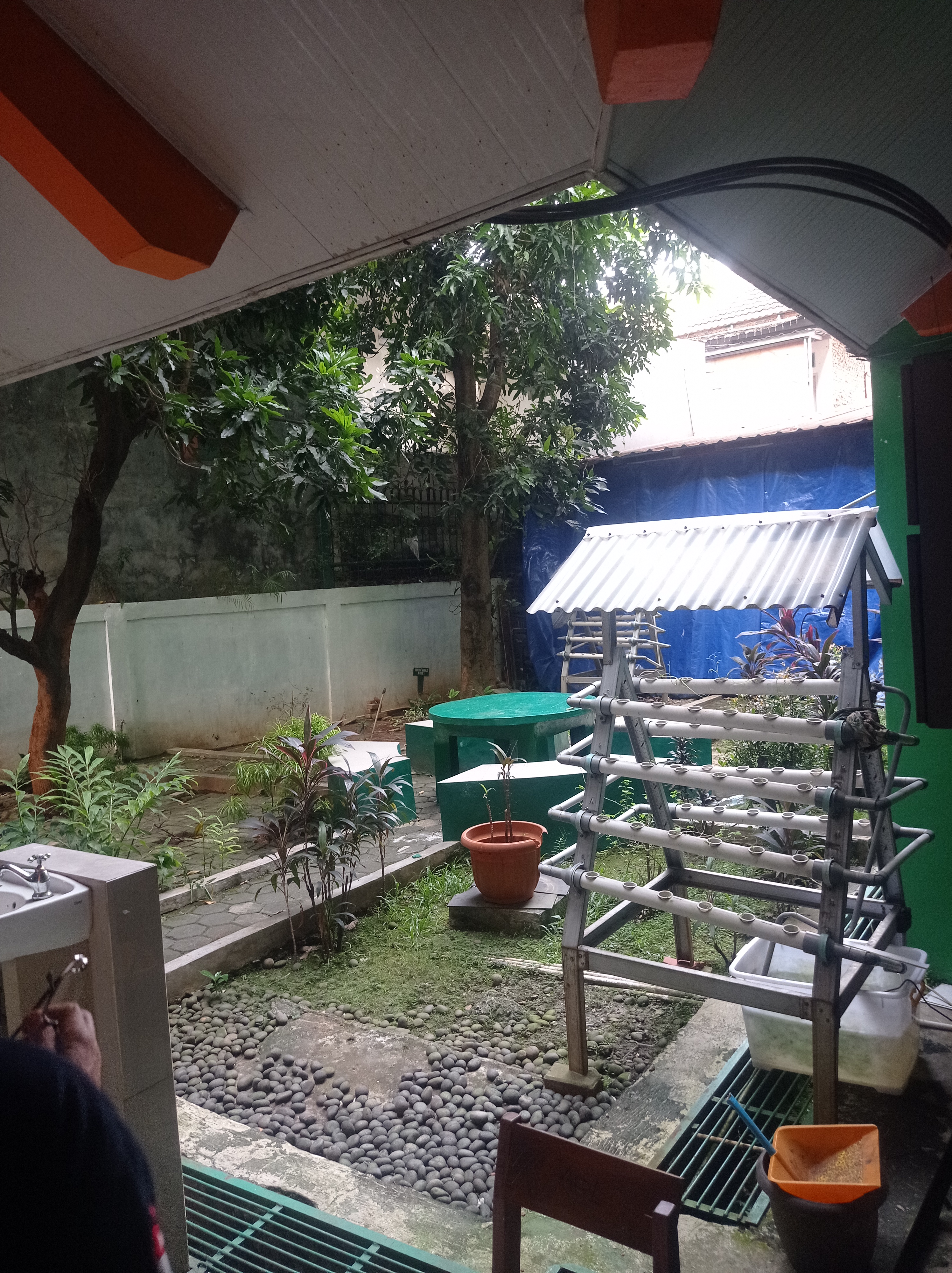 Lahan Urban Farming SMKN 59 Jakarta - Gambar 257