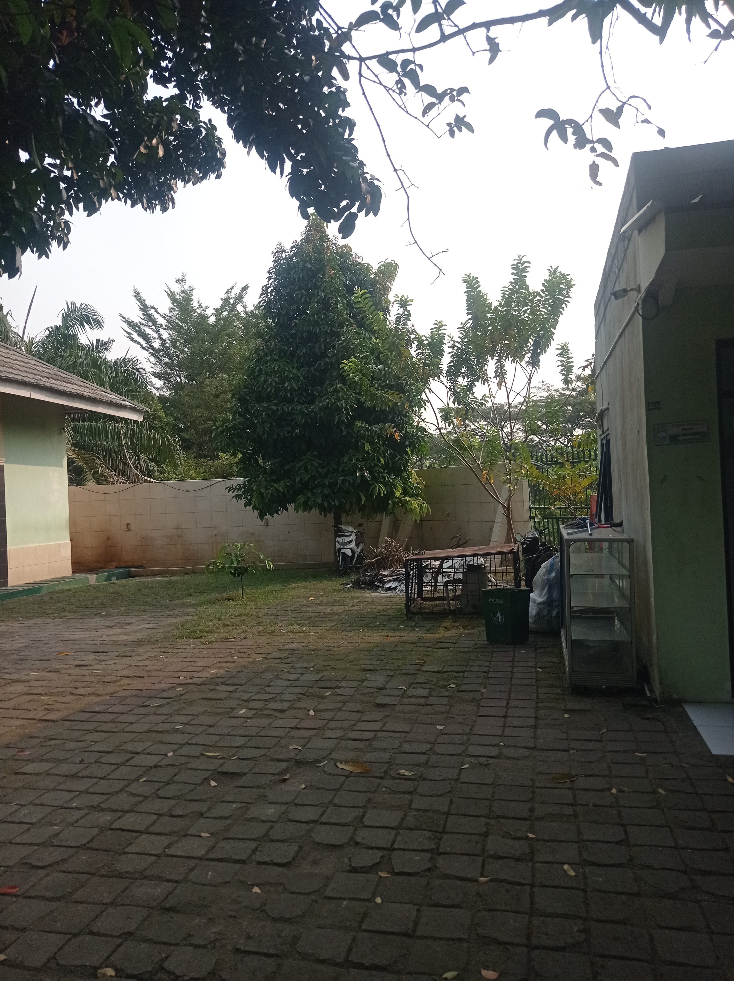 Lahan Urban Farming SMKN 59 Jakarta - Gambar 254