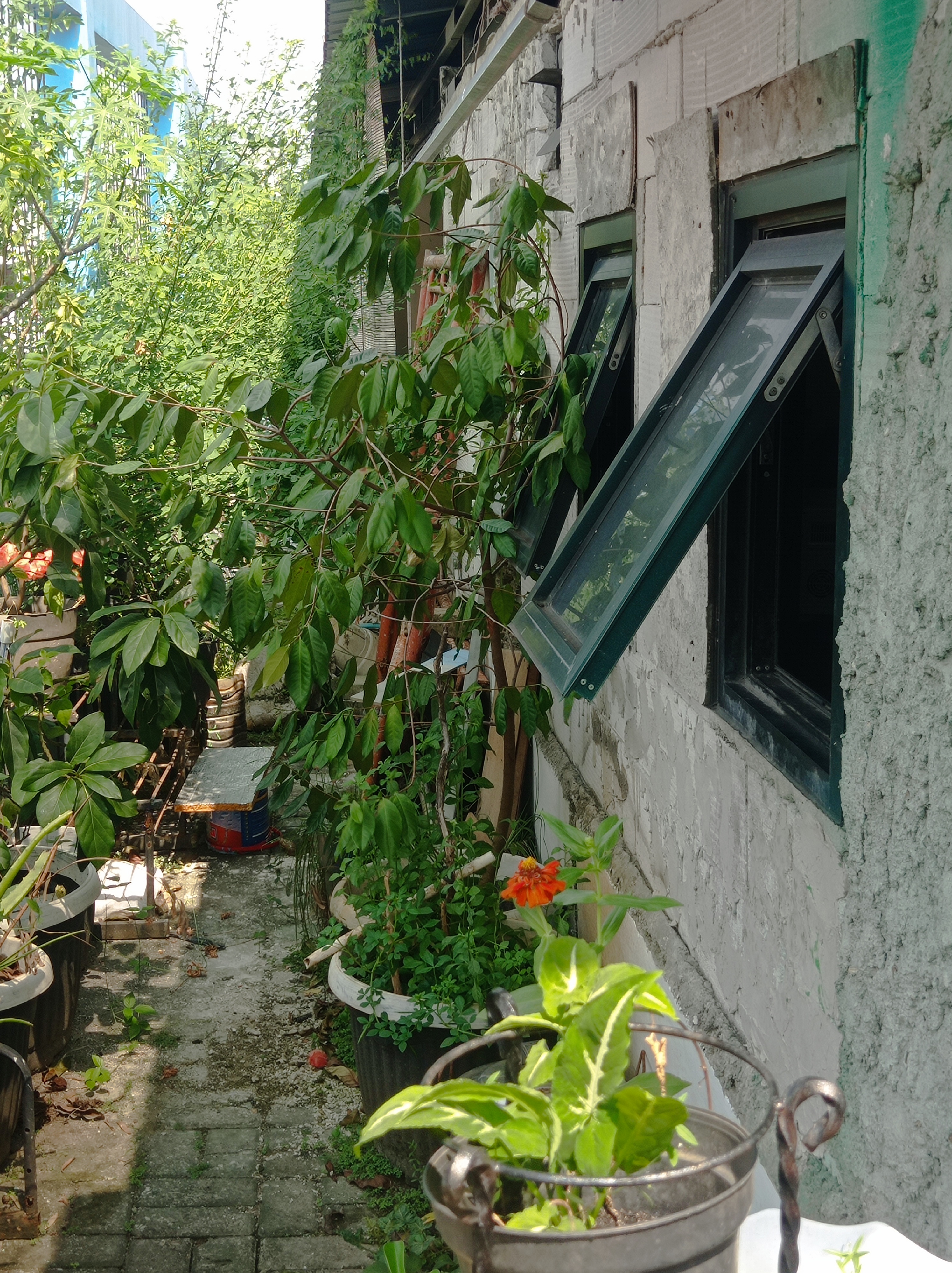 Lahan Urban Farming SMKN 43 Jakarta - Gambar 211