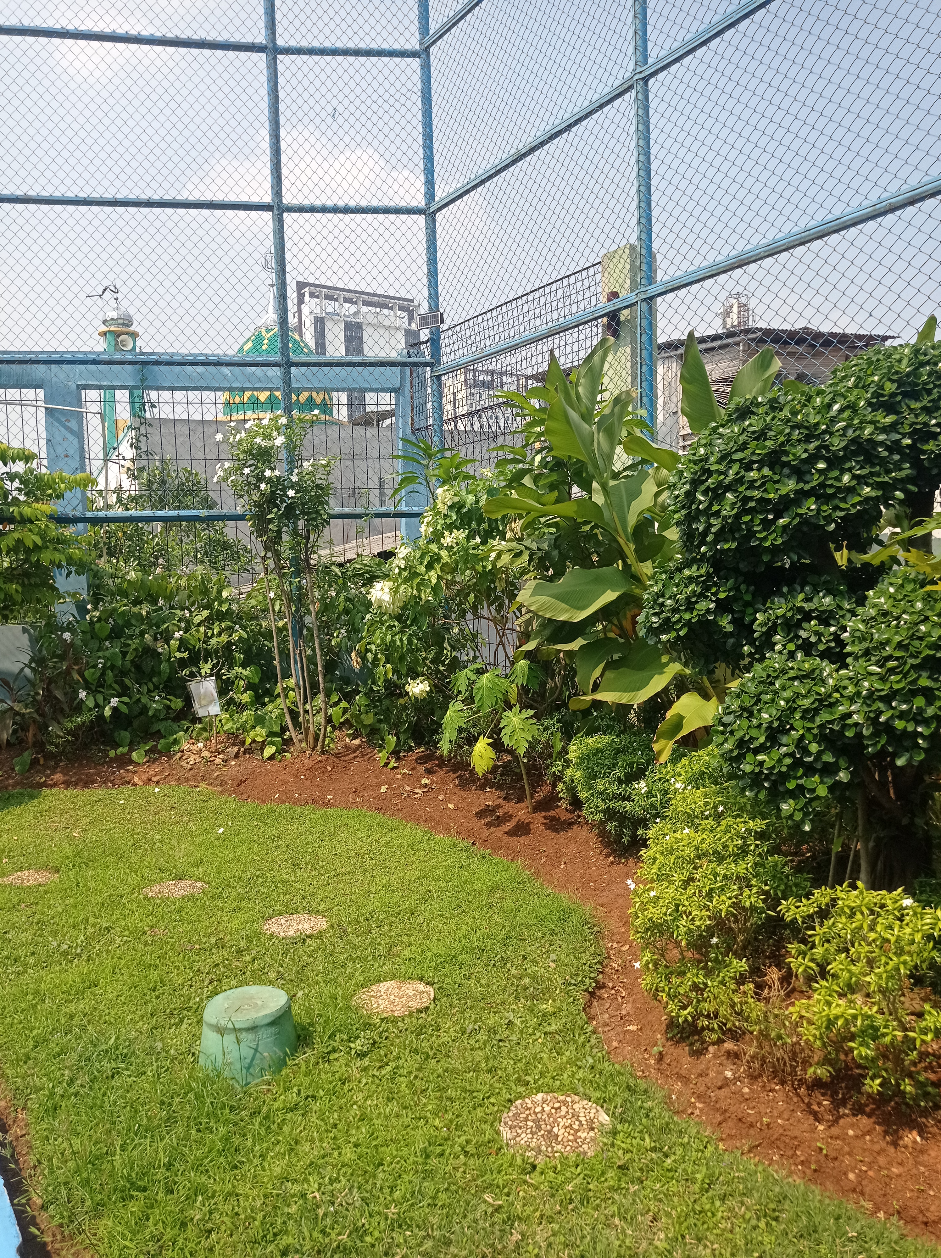 Lahan Urban Farming SMKN 43 Jakarta - Gambar 214