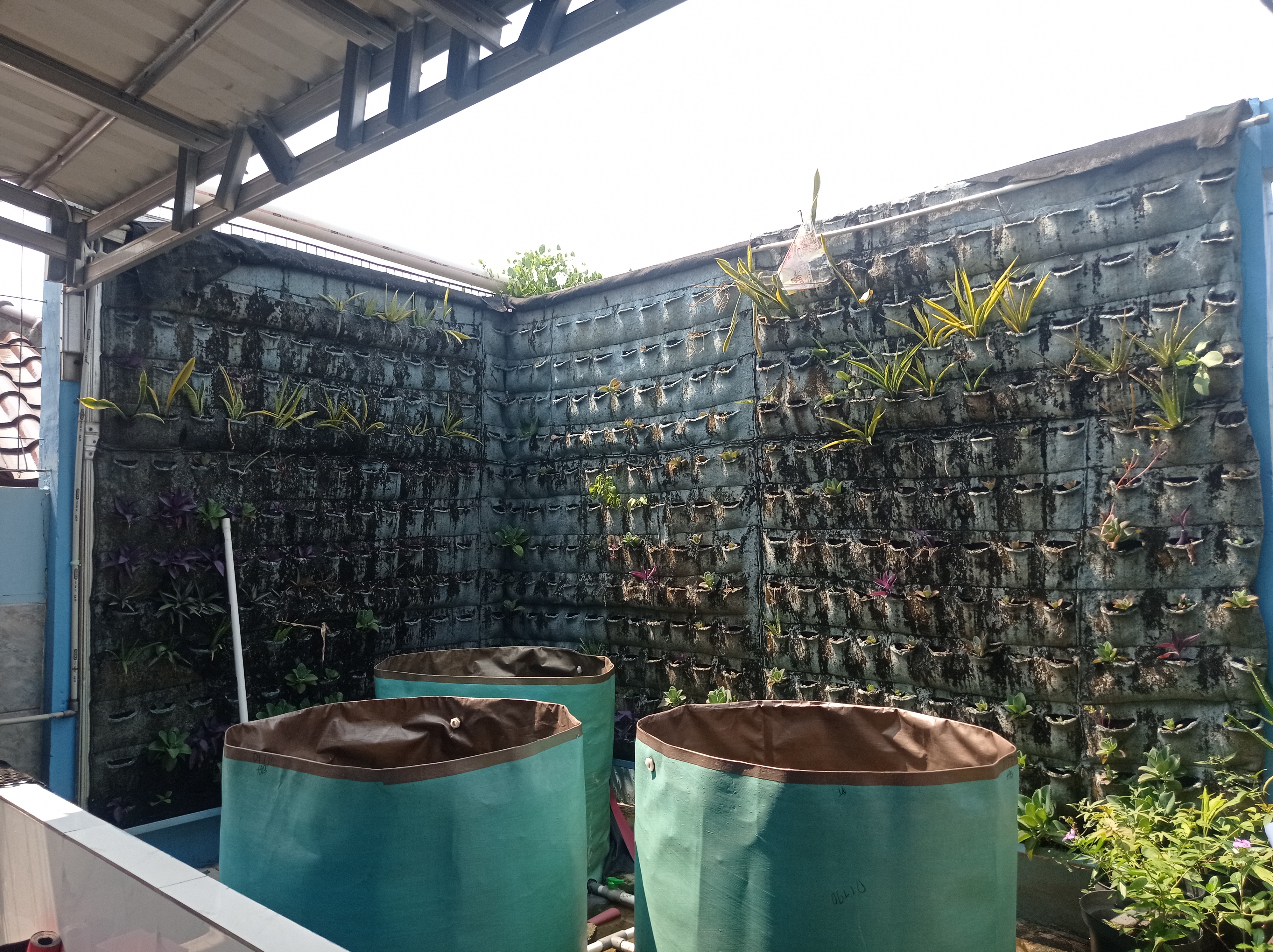 Lahan Urban Farming SMKN 43 Jakarta - Gambar 213