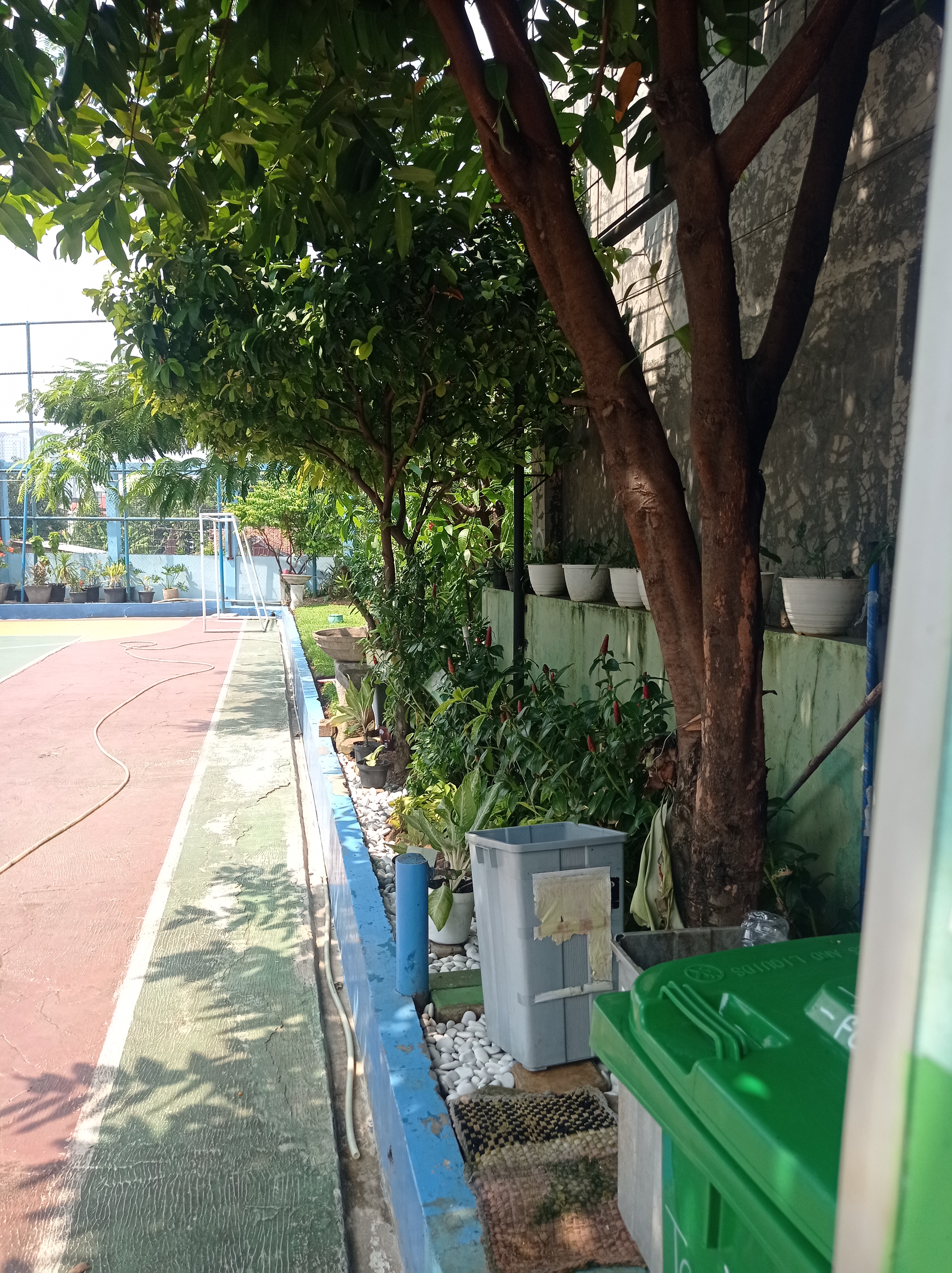 Lahan Urban Farming SMKN 43 Jakarta - Gambar 215