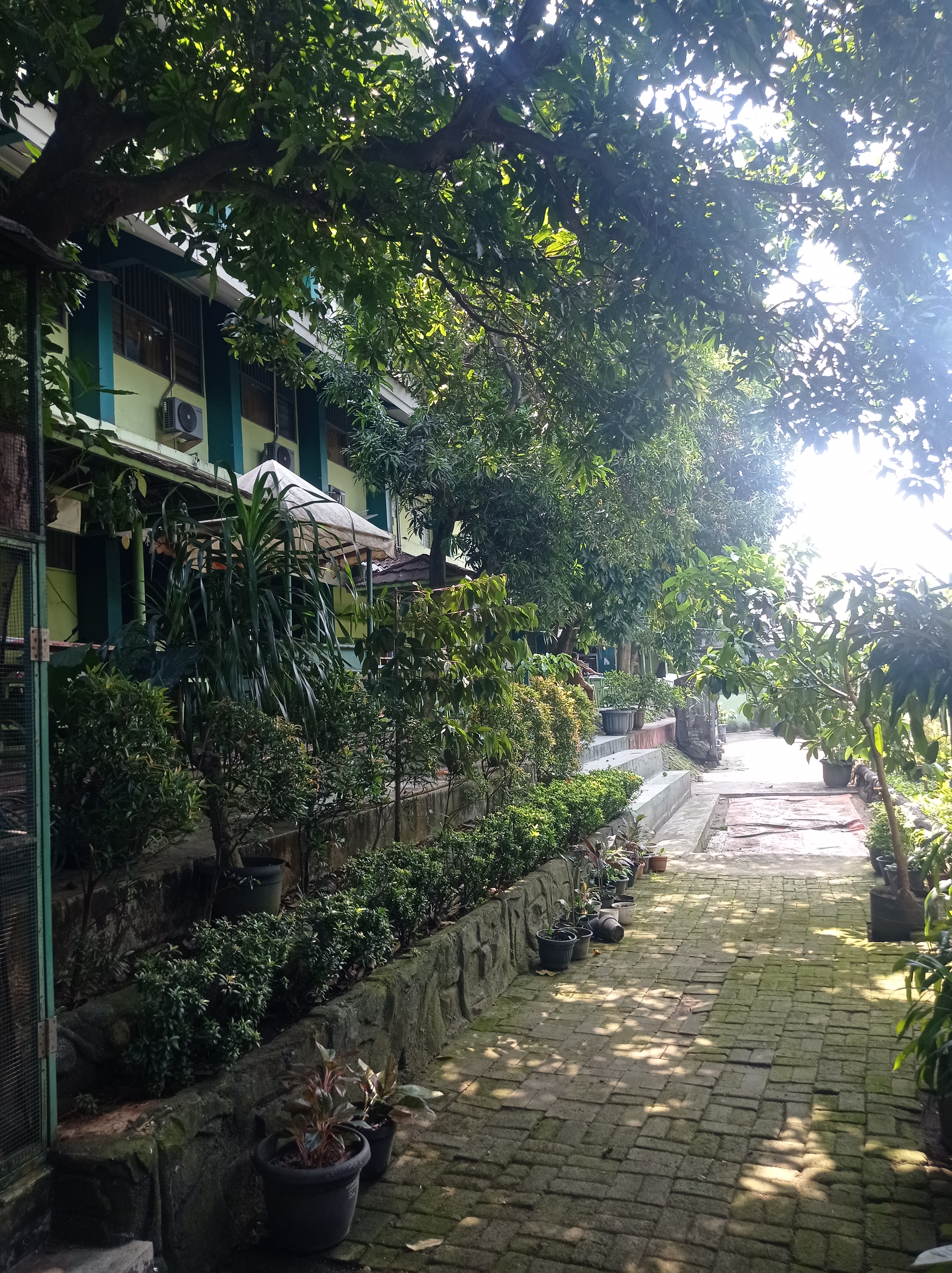 Lahan Urban Farming SMAN 63 Jakarta - Gambar 100