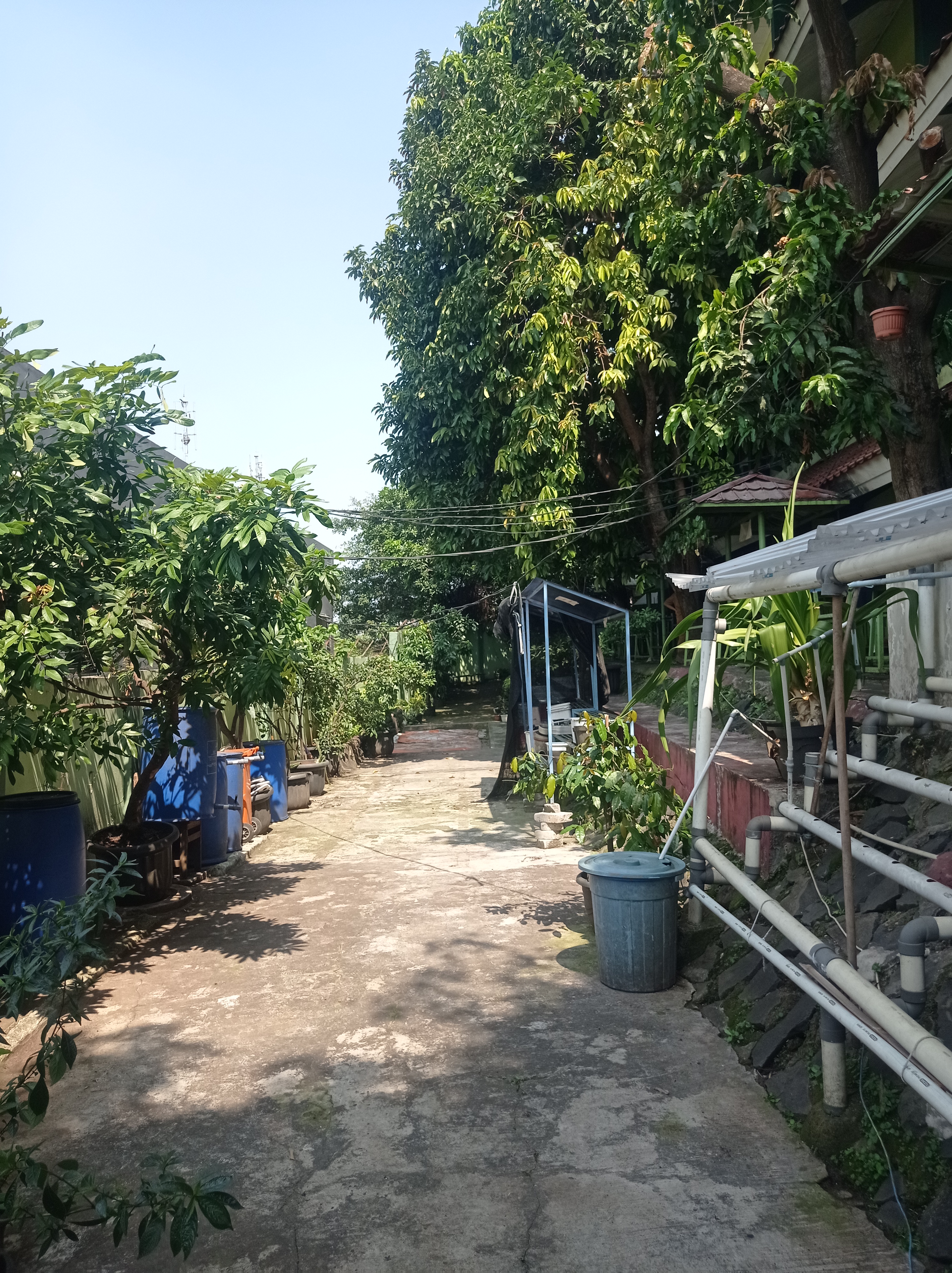 Lahan Urban Farming SMAN 63 Jakarta - Gambar 101