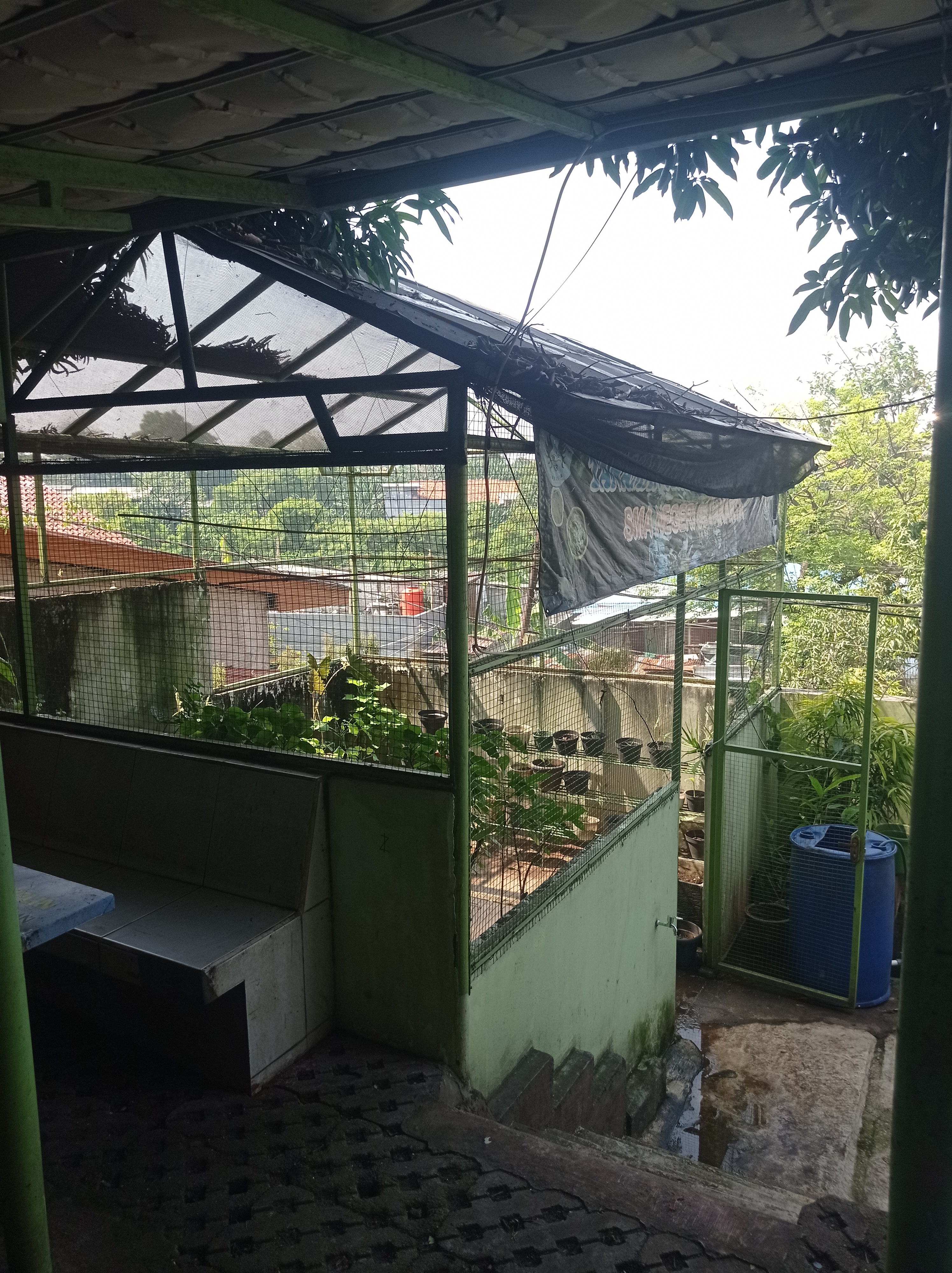 Lahan Urban Farming SMAN 63 Jakarta - Gambar 102