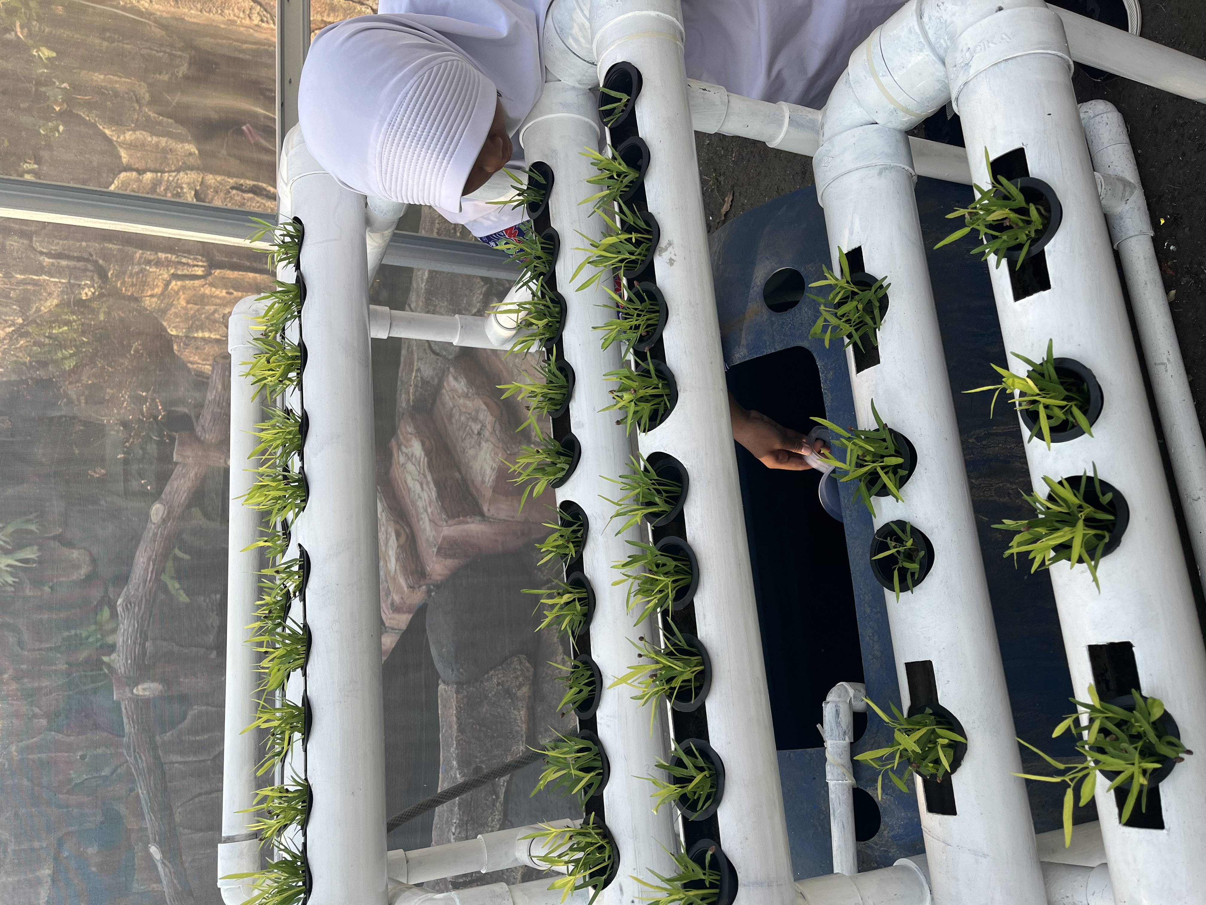 Lahan Urban Farming SDN Cipulir 03 - Gambar 98
