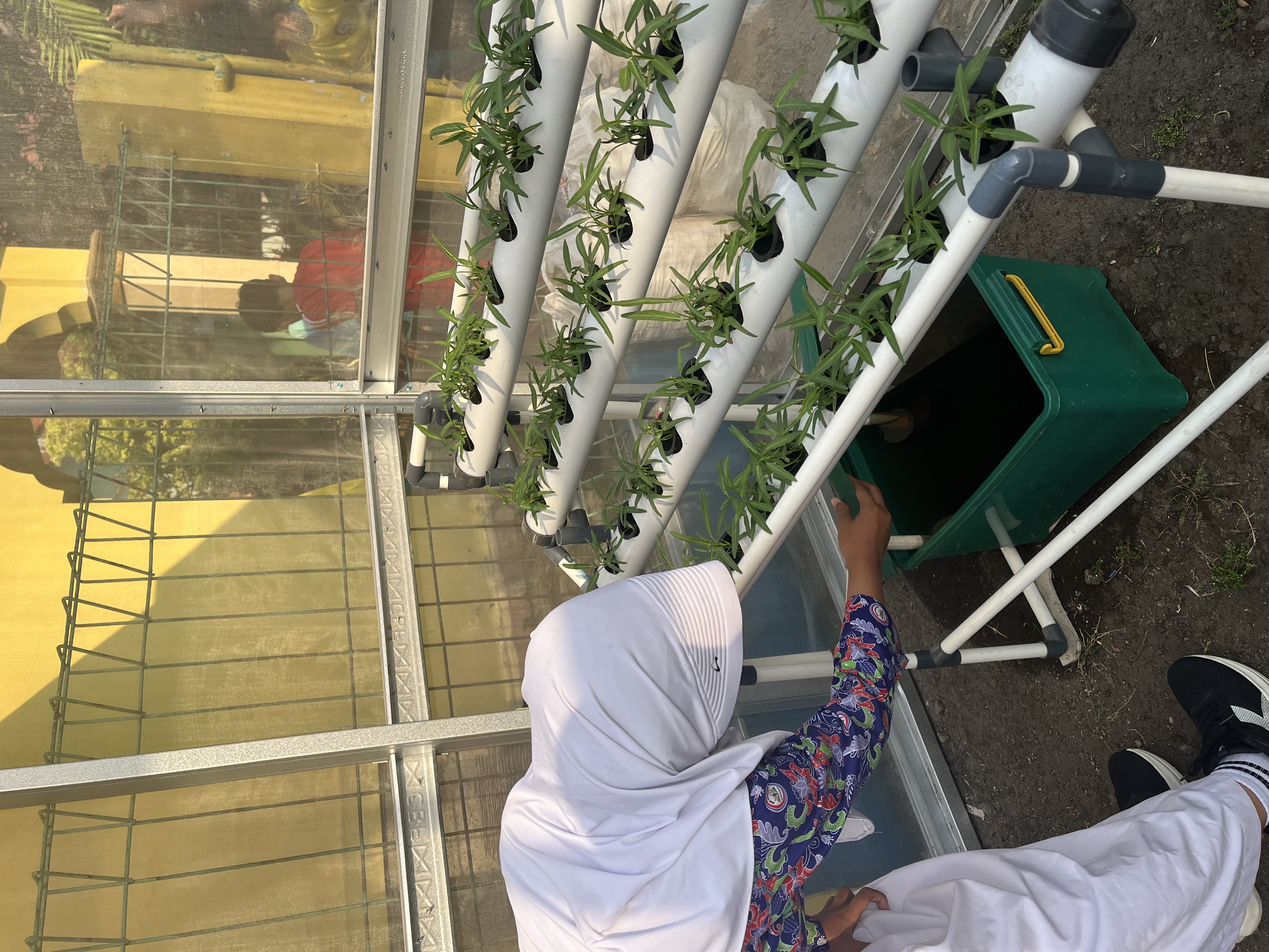 Lahan Urban Farming SDN Cipulir 03 - Gambar 94